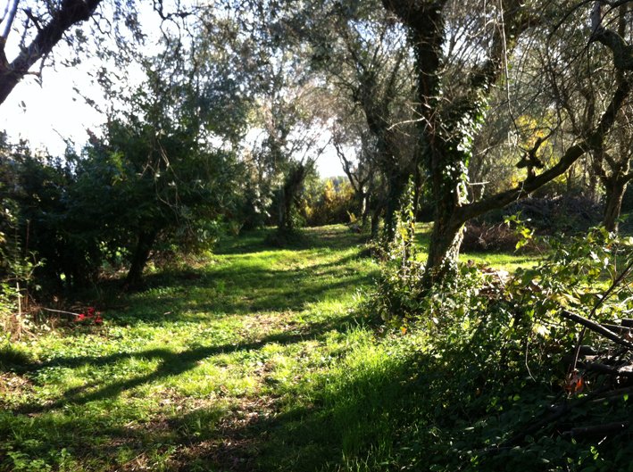 Rustico - Cascina SAN FELICE DEL BENACO vendita  Portese Via Roseti, IMMOBILIARE ZANAGLIO di Zanaglio Enzo