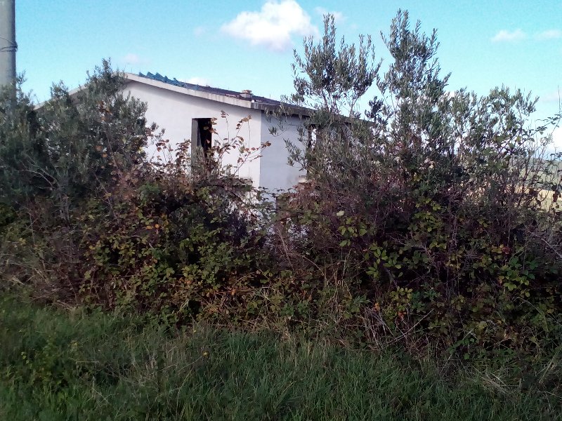 Rustico - Cascina CUPELLO vendita   Contrada Reale, Chiara Immobiliare di ItalinaGraziella Talucci