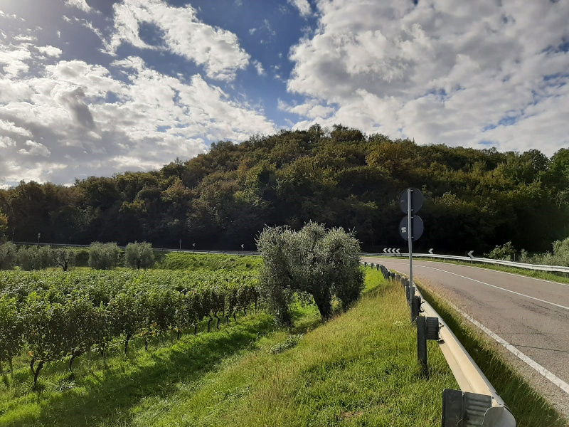 Terreno agricolo in vendita a Puegnago Del Garda (BS)