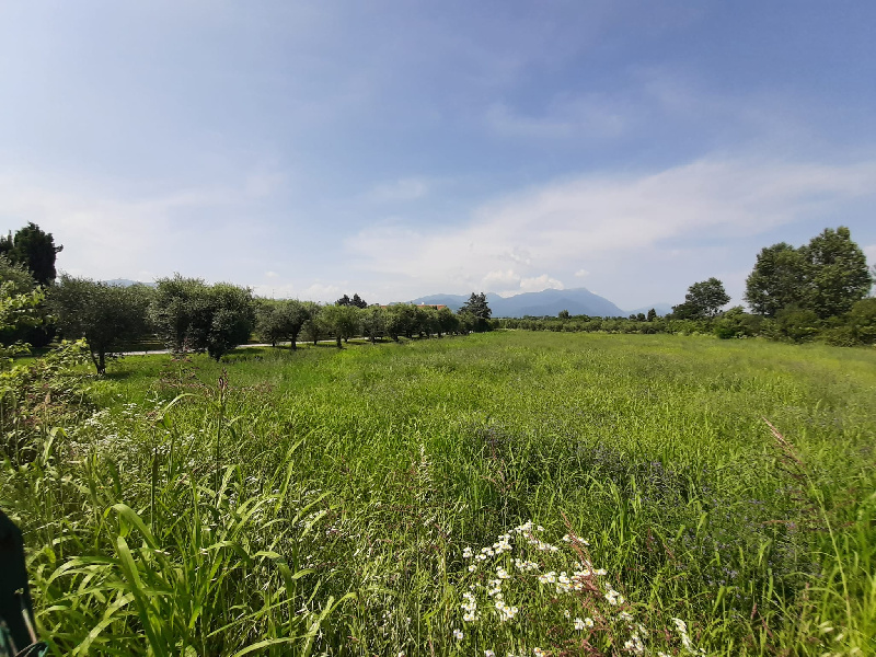 Terreno edificabile in vendita a Manerba Del Garda (BS)