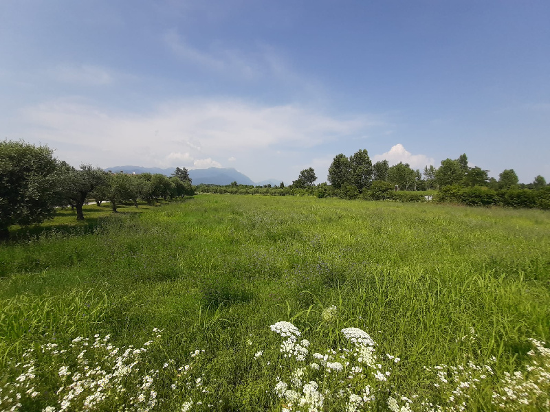 Terreno edificabile in vendita a Manerba Del Garda (BS)