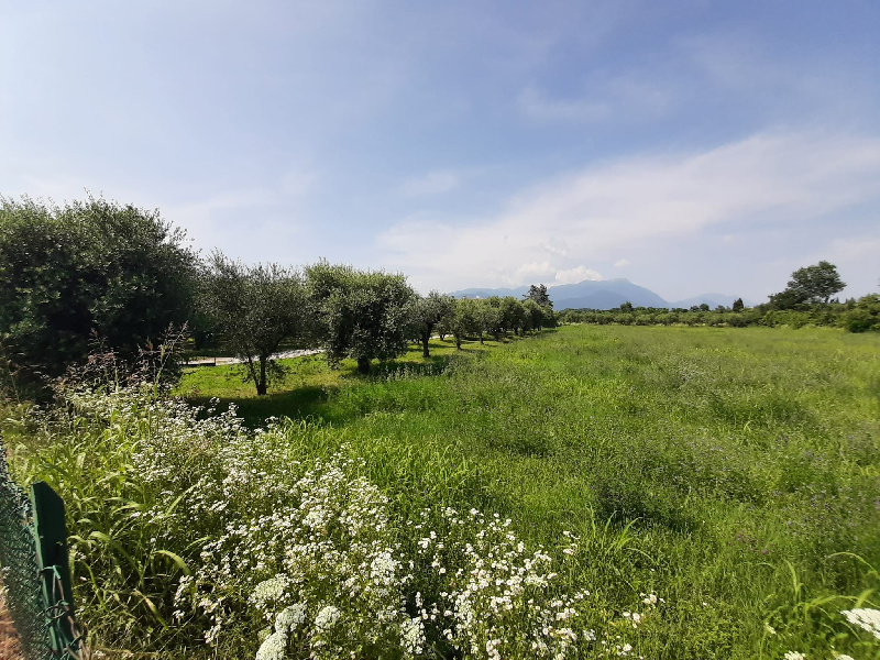 Terreno edificabile in vendita a Manerba Del Garda (BS)