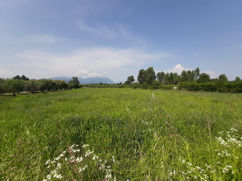 Terreno edificabile in vendita a Manerba Del Garda (BS)