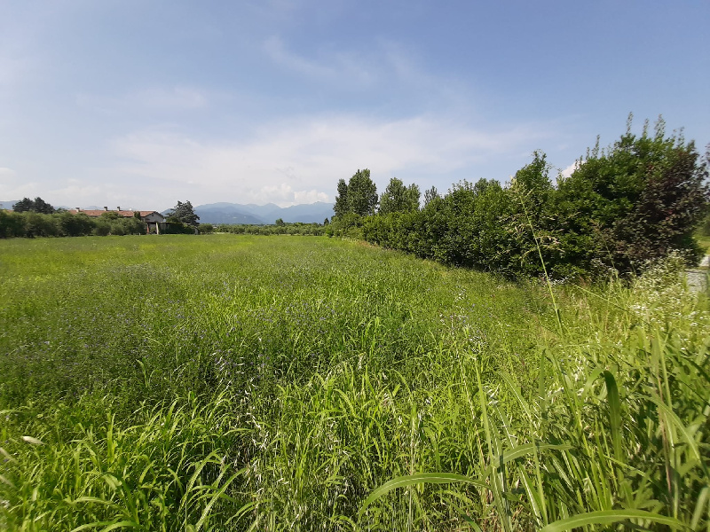 Terreno edificabile in vendita a Manerba Del Garda (BS)