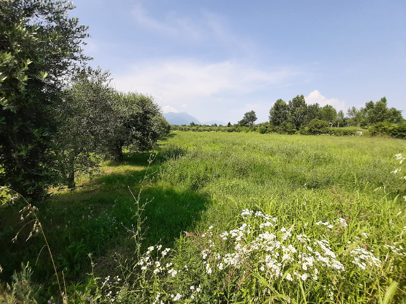 Terreno edificabile in vendita a Manerba Del Garda (BS)