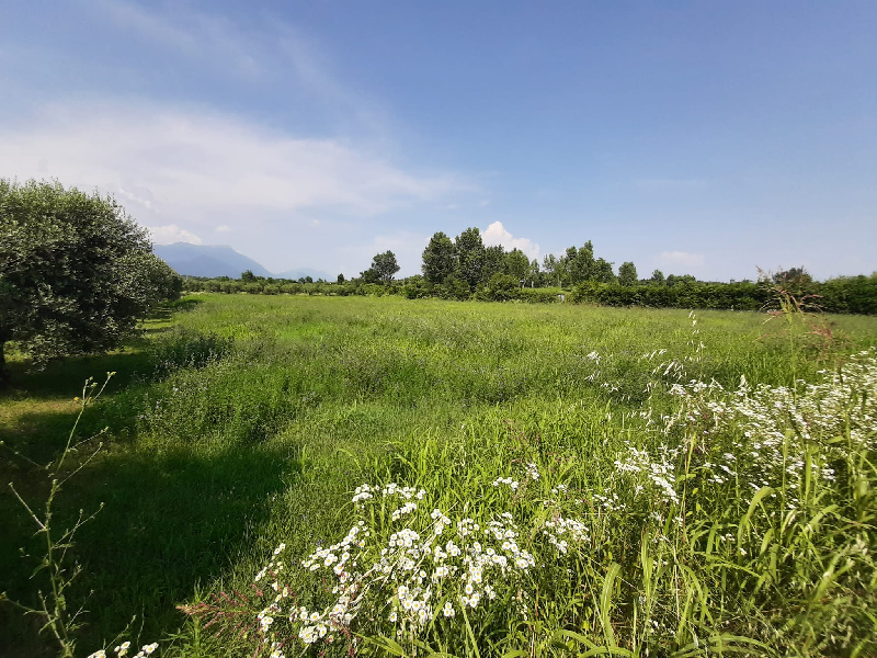 Terreno edificabile in vendita a Manerba Del Garda (BS)