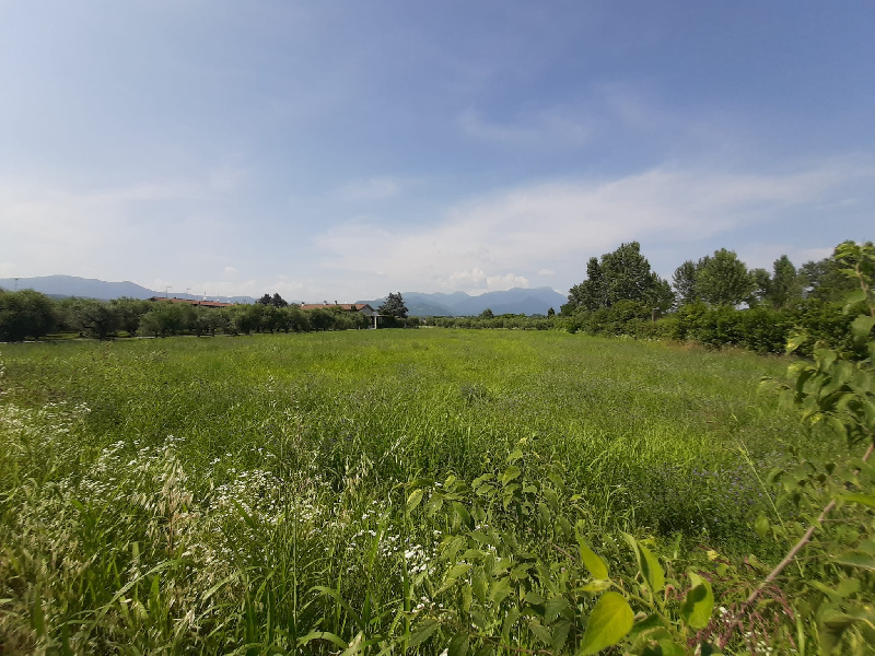 Terreno edificabile in vendita a Manerba Del Garda (BS)