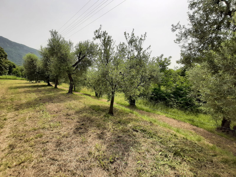 Terreno agricolo in vendita a Volciano, Roè Volciano (BS)