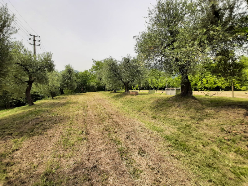 Terreno agricolo in vendita a Volciano, Roè Volciano (BS)