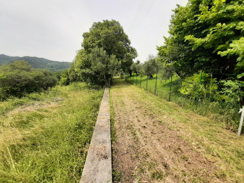 Fotografia Terreno Agricolo piccola 1