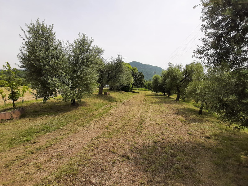 Terreno agricolo in vendita a Volciano, Roè Volciano (BS)