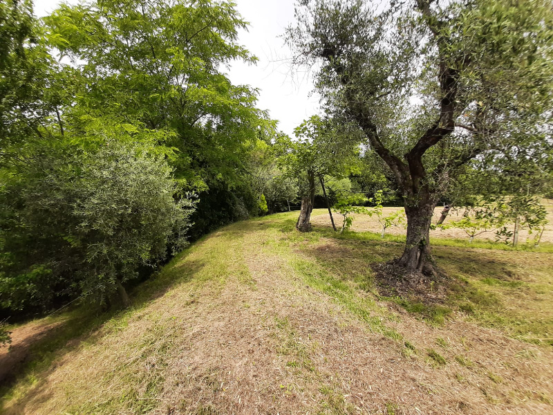 Terreno agricolo in vendita a Volciano, Roè Volciano (BS)