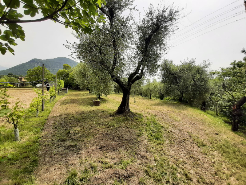 Terreno agricolo in vendita a Volciano, Roè Volciano (BS)