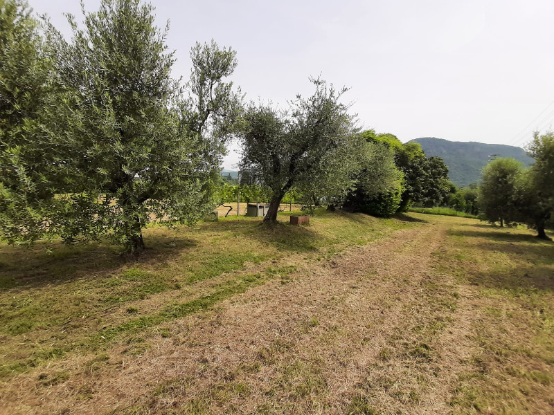 Terreno agricolo in vendita a Volciano, Roè Volciano (BS)