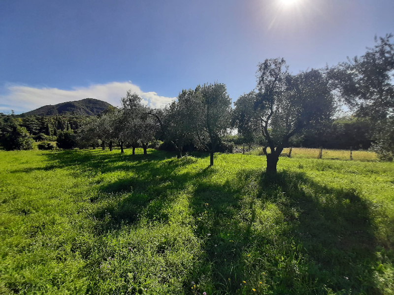 Terreno agricolo in vendita a Volciano, Roè Volciano (BS)