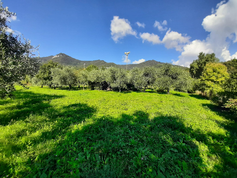 Terreno agricolo in vendita a Volciano, Roè Volciano (BS)