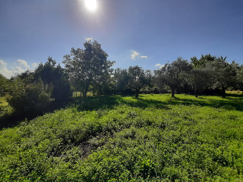 Terreno agricolo in vendita a Volciano, Roè Volciano (BS)