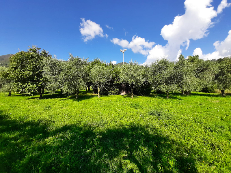 Terreno agricolo in vendita a Volciano, Roè Volciano (BS)