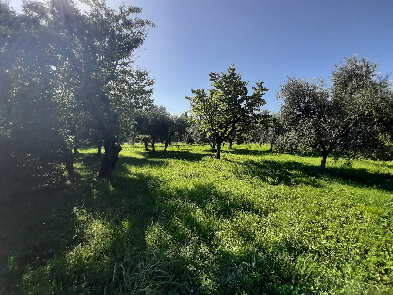 Terreno agricolo in vendita a Volciano, Roè Volciano (BS)