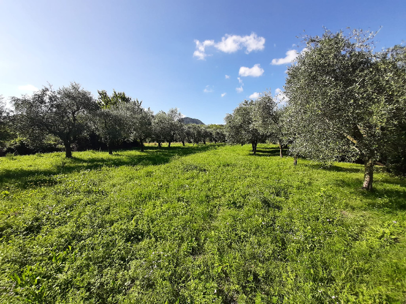 Terreno agricolo in vendita a Volciano, Roè Volciano (BS)