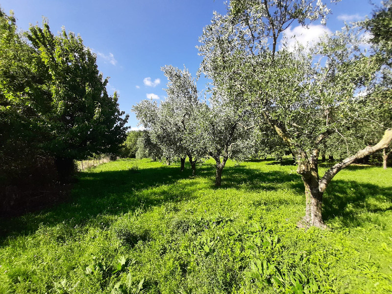 Terreno agricolo in vendita a Volciano, Roè Volciano (BS)