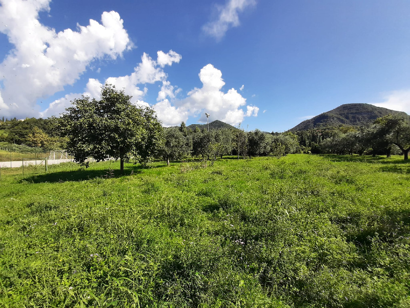 Terreno agricolo in vendita a Volciano, Roè Volciano (BS)