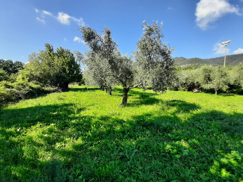 Terreno agricolo in vendita a Volciano, Roè Volciano (BS)