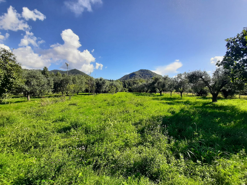 Terreno agricolo in vendita a Volciano, Roè Volciano (BS)