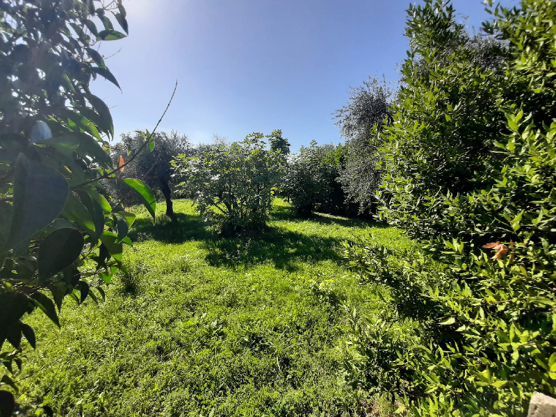 Terreno agricolo in vendita a Volciano, Roè Volciano (BS)