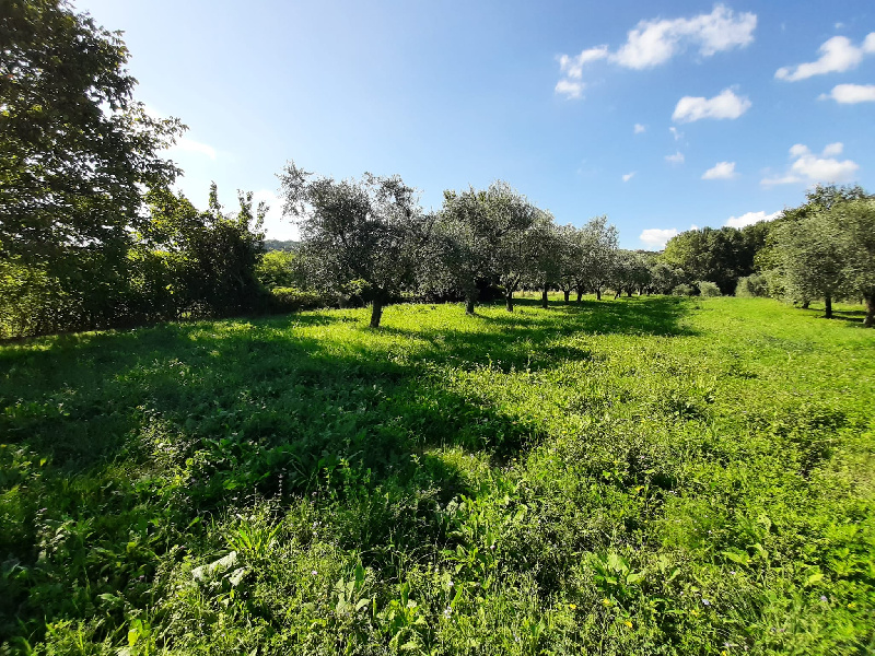 Terreno agricolo in vendita a Volciano, Roè Volciano (BS)