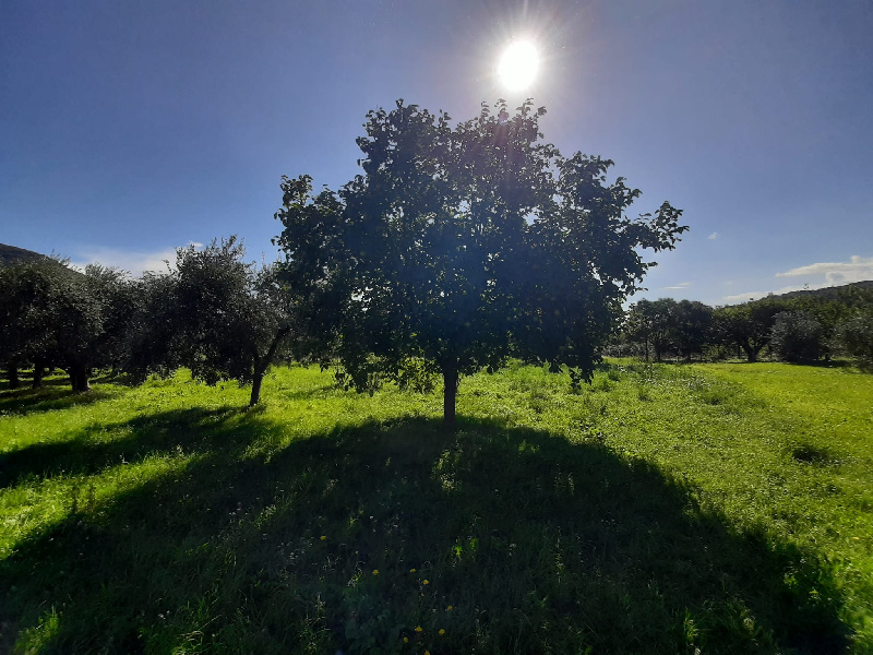 Terreno agricolo in vendita a Volciano, Roè Volciano (BS)