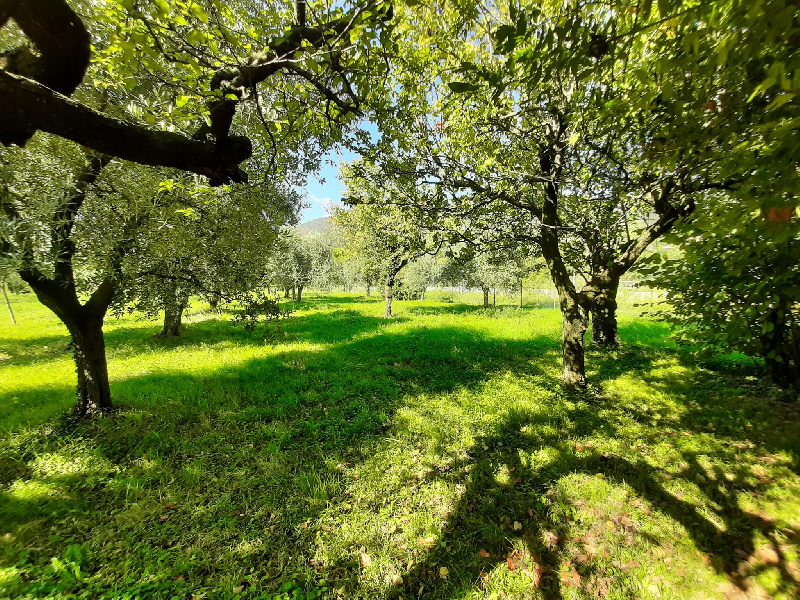 Terreno agricolo in vendita a Volciano, Roè Volciano (BS)