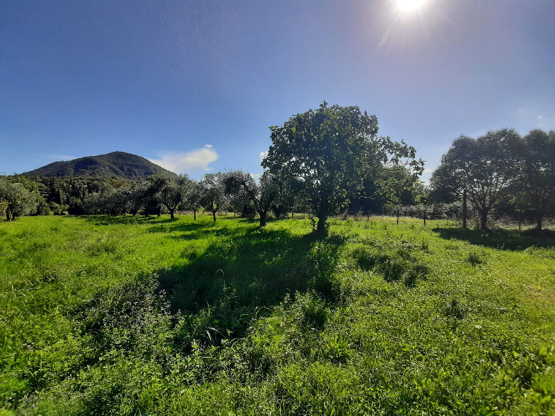 Terreno agricolo in vendita a Volciano, Roè Volciano (BS)