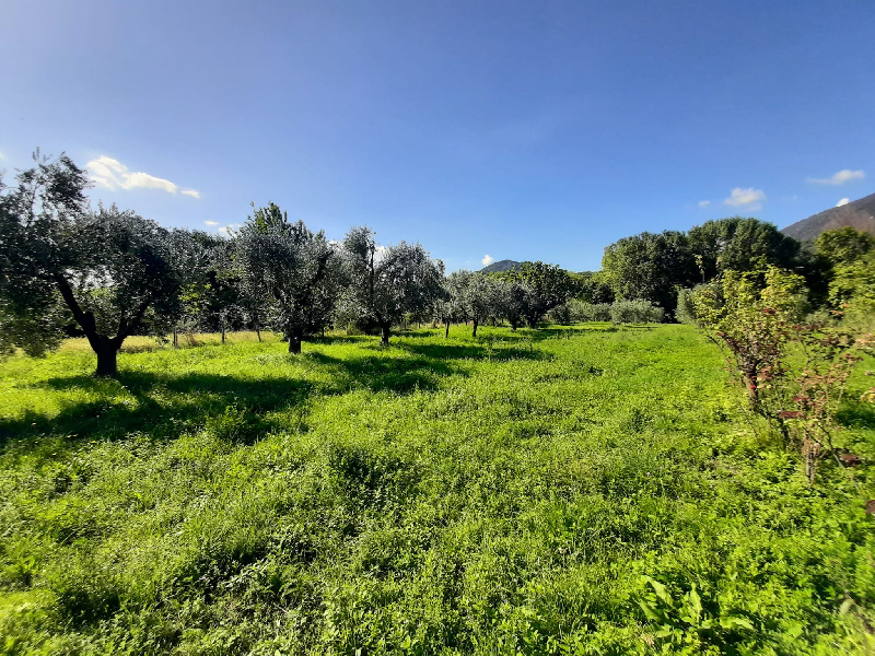 Terreno agricolo in vendita a Volciano, Roè Volciano (BS)